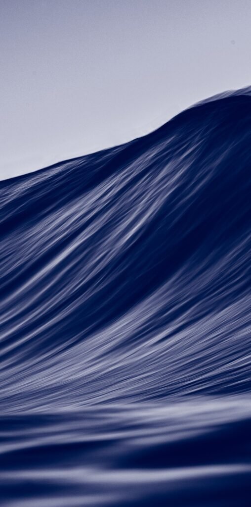 Public Authority Brochure