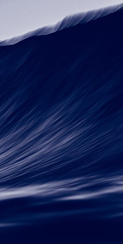 Financing and Investment Entities Brochure