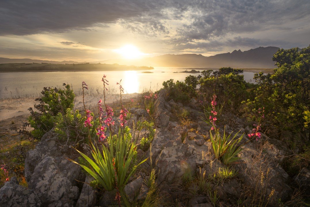 Greater Cape Town Water Fund featured image